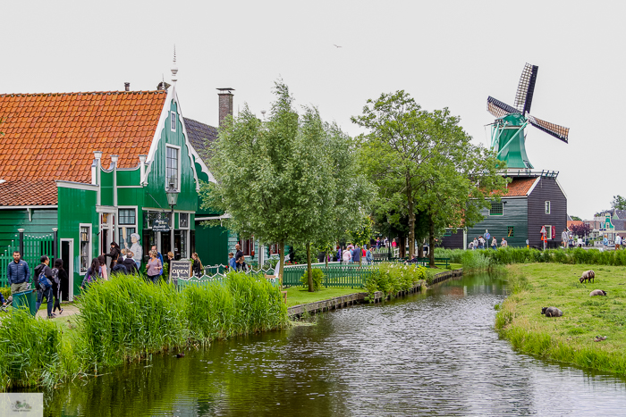 Julia Willard, Julie Willard, Julia Arias, Dutch windmills, windmills, Falling Off Bicycles, cycle Holland, biking Amsterdam, Amsterdam day trip, Spring in Holland, Netherlands spring, Zaanse Schans, Zaandam