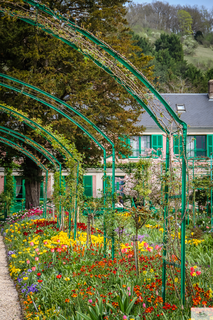 Julia Willard, Julie Willard, Julia Arias, Giverny, Vernon, Normandie, Normandy, Paris day trip, France, Normandy trip, Claude Monet, Monet's Garden