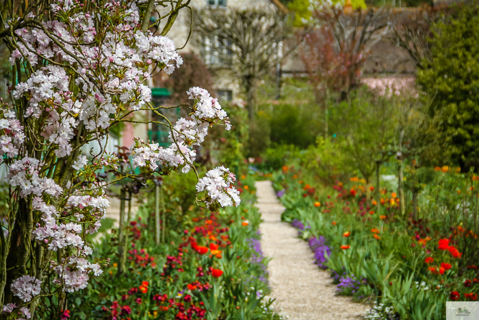 Julia Willard, Julie Willard, Julia Arias, Giverny, Vernon, Normandie, Normandy, Paris day trip, France, Normandy trip, Claude Monet, Monet's Garden