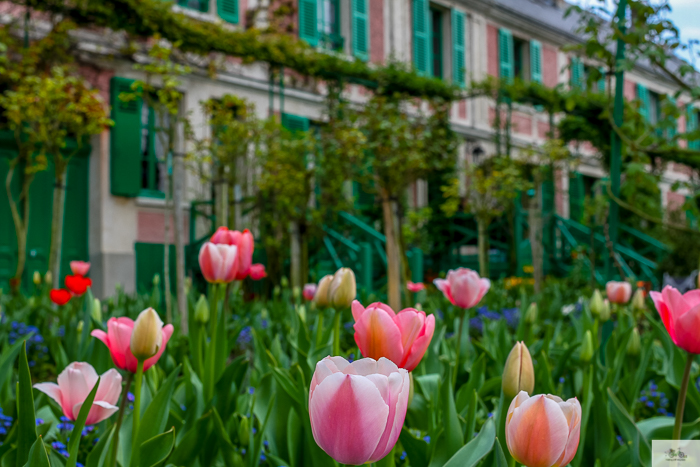 Julia Willard, Julie Willard, Julia Arias, Giverny, Vernon, Normandie, Normandy, Paris day trip, France, Normandy trip, Claude Monet, Monet's Garden