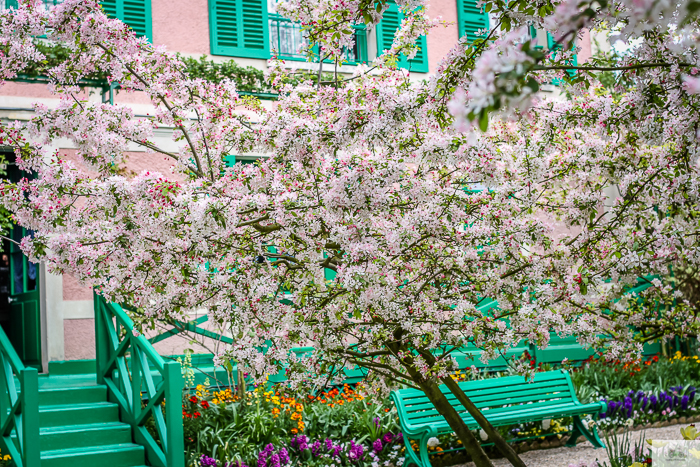 Julia Willard, Julie Willard, Julia Arias, Giverny, Vernon, Normandie, Normandy, Paris day trip, France, Normandy trip, Claude Monet, Monet's Garden