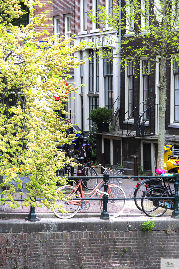 Julia Willard, Veloretti, Julia Arias, Julie Willard, Amsterdam, Netherlands, biking in Amsterdam,