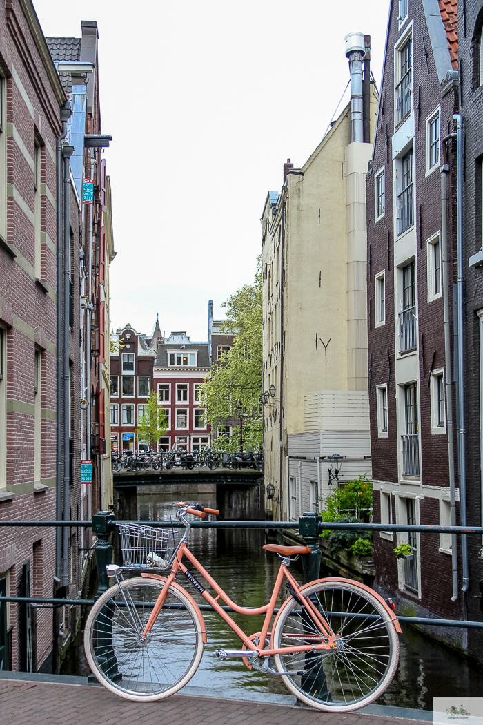 Julia Willard, Veloretti, Julia Arias, Julie Willard, Amsterdam, Netherlands, biking in Amsterdam,