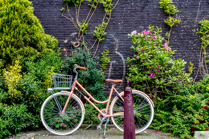 Julia Willard, Veloretti, Julia Arias, Julie Willard, Amsterdam, Netherlands, biking in Amsterdam,