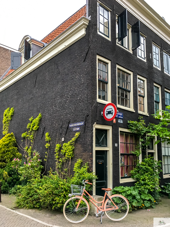 Julia Willard, Veloretti, Julia Arias, Julie Willard, Amsterdam, Netherlands, biking in Amsterdam,