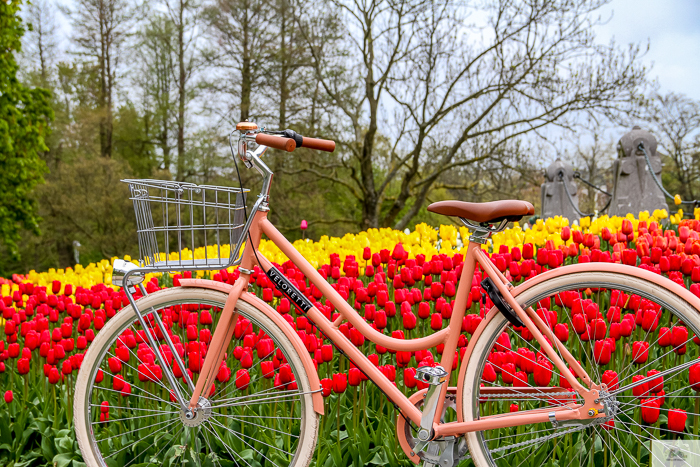 Julia Willard, Veloretti, Julia Arias, Julie Willard, Amsterdam, Netherlands, biking in Amsterdam,