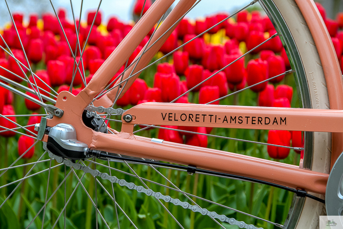 Julia Willard, Veloretti, Julia Arias, Julie Willard, Amsterdam, Netherlands, biking in Amsterdam,