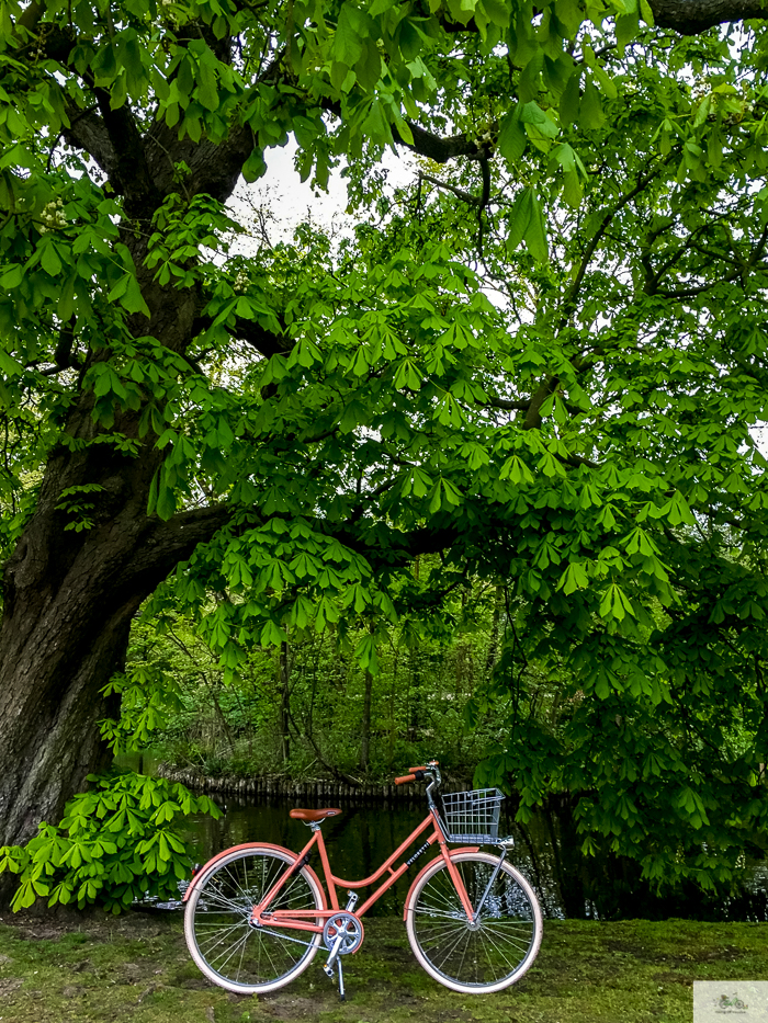 Julia Willard, Veloretti, Julia Arias, Julie Willard, Amsterdam, Netherlands, biking in Amsterdam,