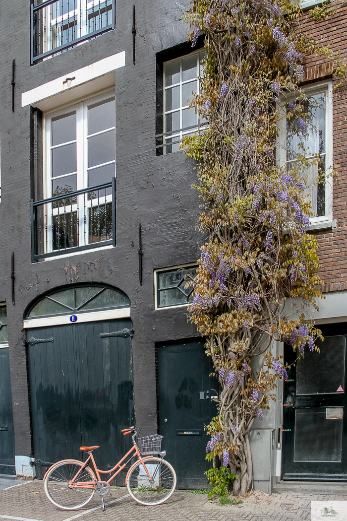 Julia Willard, Veloretti, Julia Arias, Julie Willard, Amsterdam, Netherlands, biking in Amsterdam,