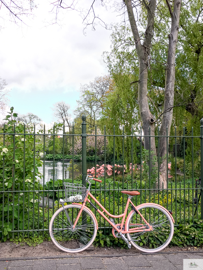 Julia Willard, Veloretti, Julia Arias, Julie Willard, Amsterdam, Netherlands, biking in Amsterdam,