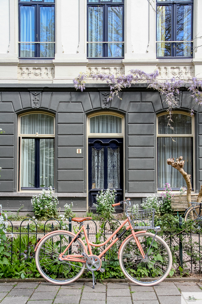 Julia Willard, Veloretti, Julia Arias, Julie Willard, Amsterdam, Netherlands, biking in Amsterdam,