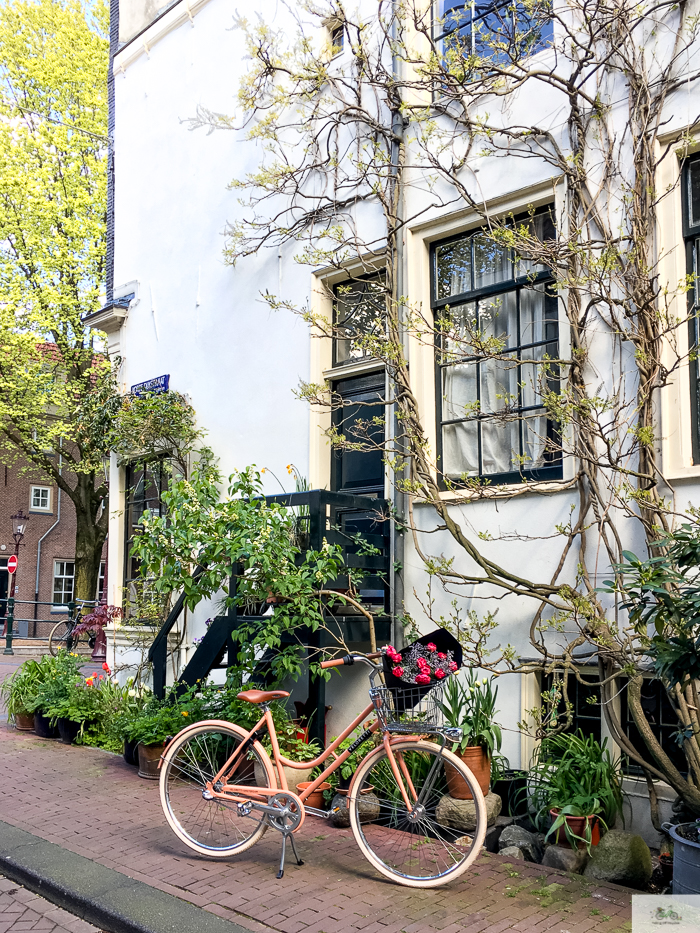 Julia Willard, Veloretti, Julia Arias, Julie Willard, Amsterdam, Netherlands, biking in Amsterdam,