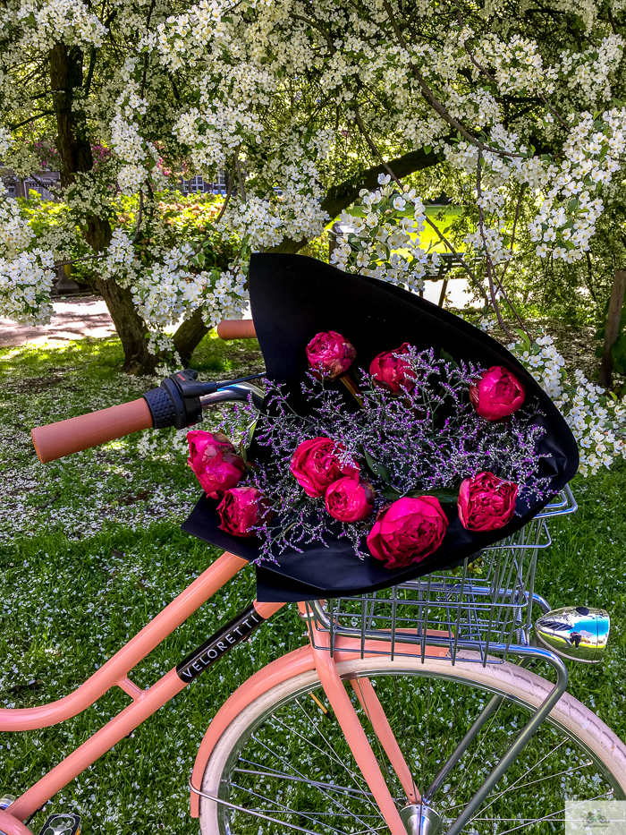 Julia Willard, Veloretti, Julia Arias, Julie Willard, Amsterdam, Netherlands, biking in Amsterdam,