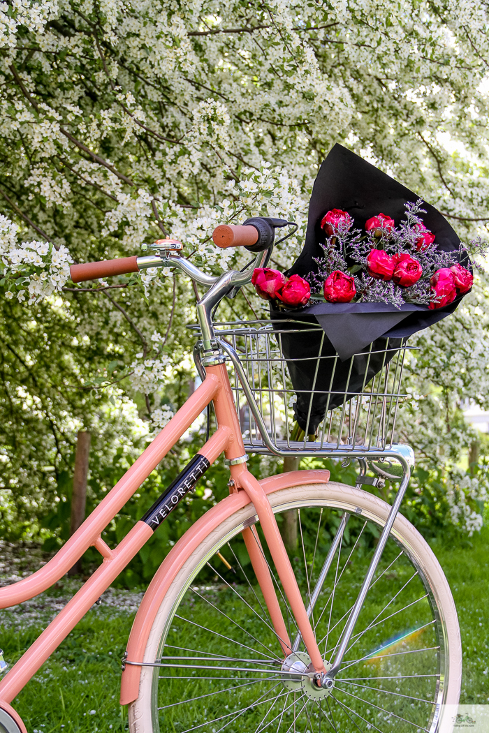 Julia Willard, Veloretti, Julia Arias, Julie Willard, Amsterdam, Netherlands, biking in Amsterdam,