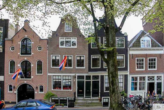 Julia Willard, Julia Arias, Julie Willard, King's Day Amsterdam, Queen's Day Amsterdam, Falling Off bicycles, biking in Amsterdam