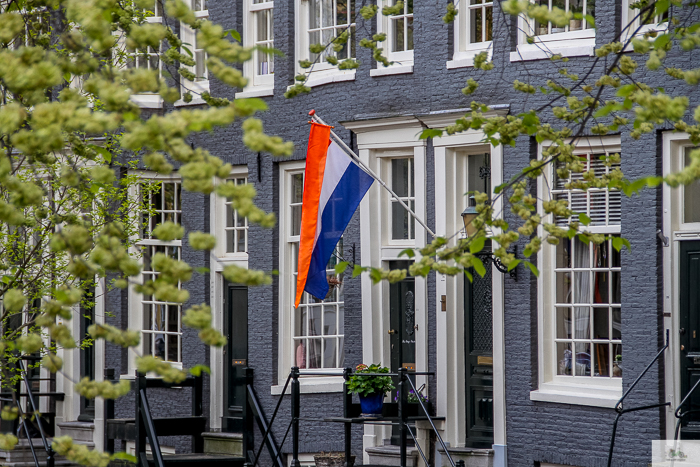 Julia Willard, Julia Arias, Julie Willard, King's Day Amsterdam, Queen's Day Amsterdam, Falling Off bicycles, biking in Amsterdam