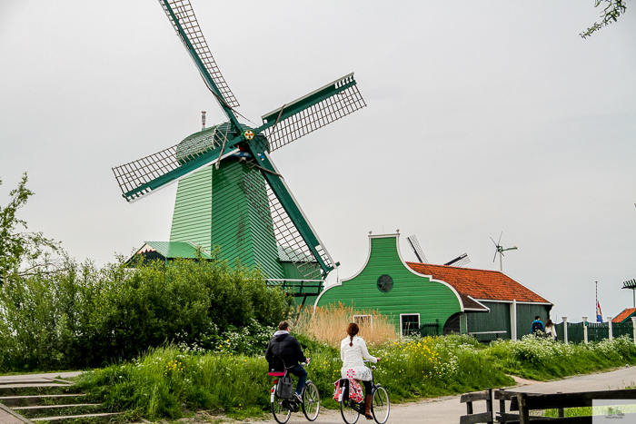 Julia Willard, Julie Willard, Julia Arias, Dutch windmills, windmills, Falling Off Bicycles, cycle Holland, biking Amsterdam, Amsterdam day trip, Spring in Holland, Netherlands spring, Zaanse Schans, Zaandam