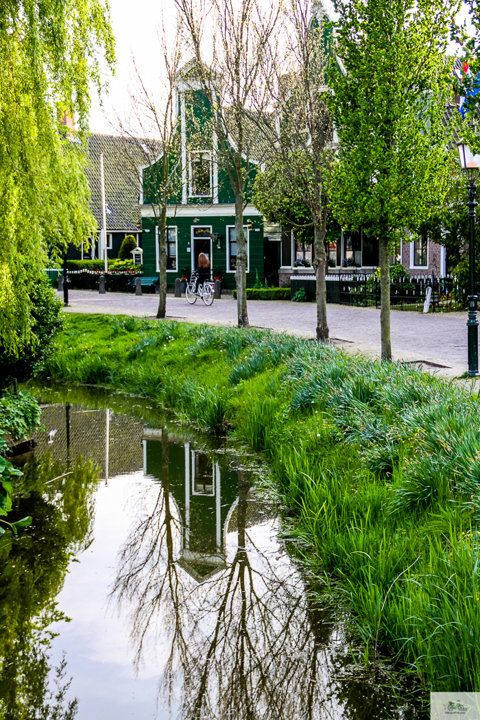 Julia Willard, Julie Willard, Julia Arias, Dutch windmills, windmills, Falling Off Bicycles, cycle Holland, biking Amsterdam, Amsterdam day trip, Spring in Holland, Netherlands spring, Zaanse Schans, Zaandam