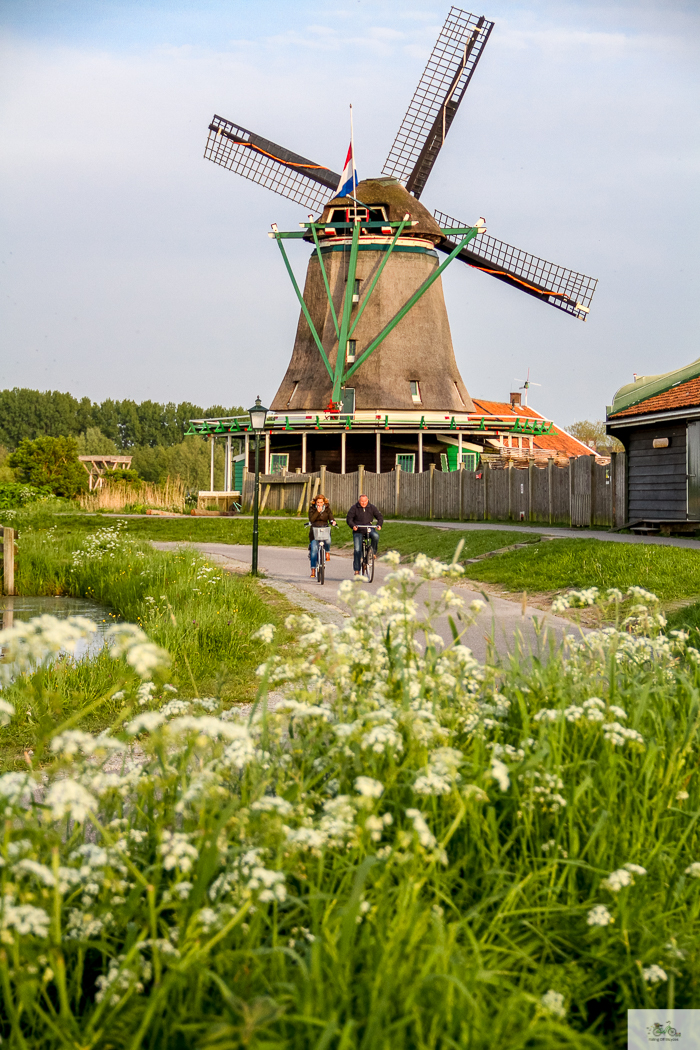 Julia Willard, Julie Willard, Julia Arias, Dutch windmills, windmills, Falling Off Bicycles, cycle Holland, biking Amsterdam, Amsterdam day trip, Spring in Holland, Netherlands spring,Zaanse Schans