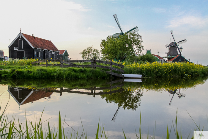 Julia Willard, Julie Willard, Julia Arias, Dutch windmills, windmills, Falling Off Bicycles, cycle Holland, biking Amsterdam, Amsterdam day trip, Spring in Holland, Netherlands spring,Zaanse Schans