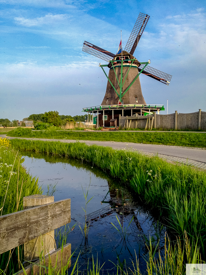 Julia Willard, Julie Willard, Julia Arias, Dutch windmills, windmills, Falling Off Bicycles, cycle Holland, biking Amsterdam, Amsterdam day trip, Spring in Holland, Netherlands spring,Zaanse Schans