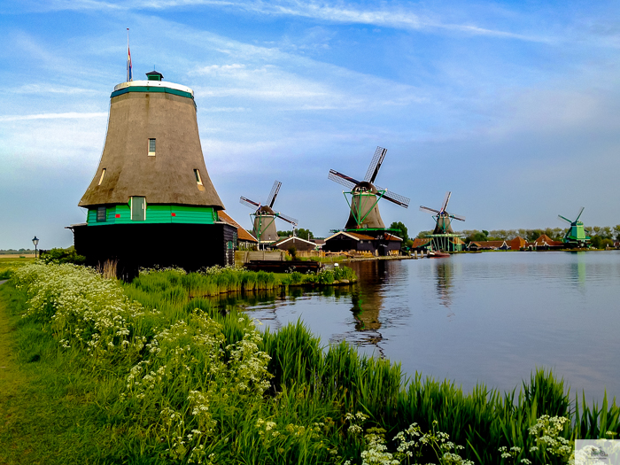 Julia Willard, Julie Willard, Julia Arias, Dutch windmills, windmills, Falling Off Bicycles, cycle Holland, biking Amsterdam, Amsterdam day trip, Spring in Holland, Netherlands spring,Zaanse Schans