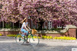 Julia Willard, Julia Arias, Julie Willard, Falling Off Bicycles, biking in Paris, cherry blossoms, Paris, France, spring in Paris, cute bike pics, cute bike photo