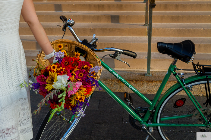 Julia Willard, Julie Willard, Julia Arias, Falling Off Bicycles, Nelson Atkins Museum of Art, Kansas City, Missouri, green bike, bike in KC, bike in Kansas City, bike in Paris