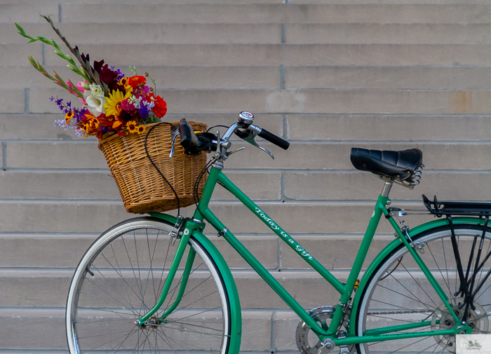 Julia Willard, Julie Willard, Julia Arias, Falling Off Bicycles, Nelson Atkins Museum of Art, Kansas City, Missouri, green bike, bike in KC, bike in Kansas City, bike in Paris