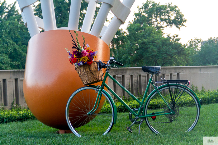 Julia Willard, Julie Willard, Julia Arias, Falling Off Bicycles, Nelson Atkins Museum of Art, Kansas City, Missouri, green bike, bike in KC, bike in Kansas City, bike in Paris