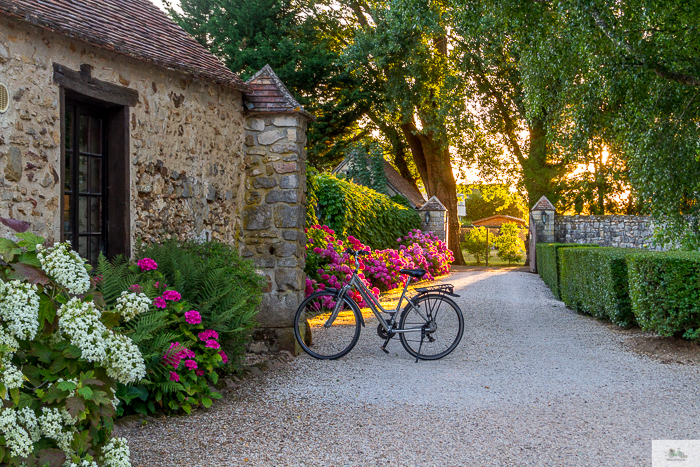 Julia Willard, Julie Willard, Falling Off Bicycles, Julia Arias, bike in France, sunflower field, cycle France, Loire Valley
